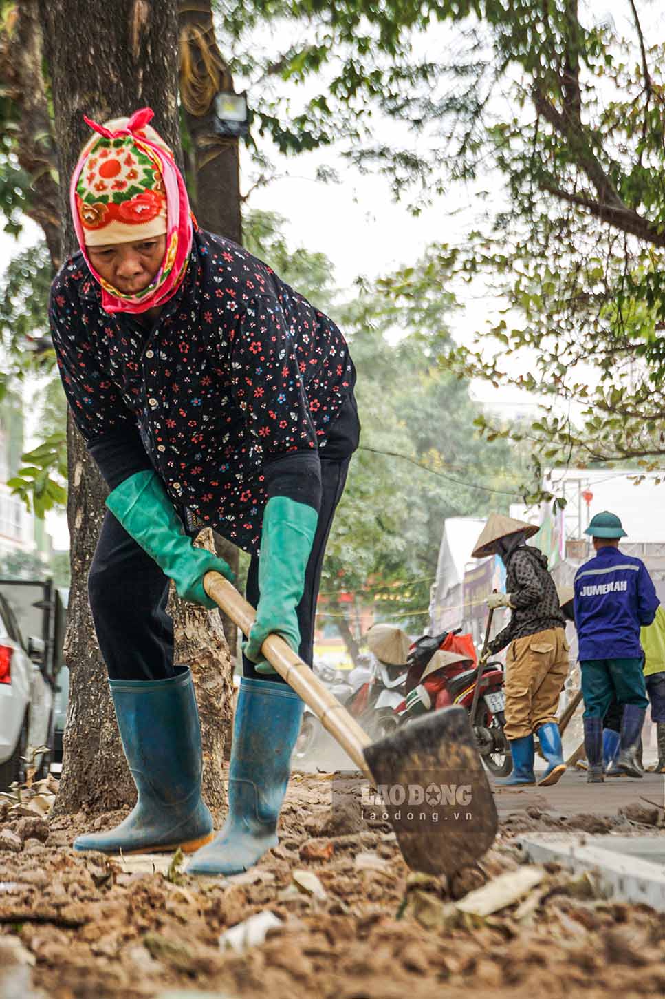 Duoc biet, Ban Quan ly du an dau tu xay dung quan Hai Ba Trung duoc giao nhiem vu thuc hien du an do hang rao, dong thoi don vi nay dang trien khai du an cai tao, sua chua he pho Vo Thi Sau va he pho Thanh Nhan (phia truoc Cong vien Tuoi tre Thu do) va du an bo sung he thong dien chieu sang tai cong vien, ket hop trong cac loai hoa, cay canh.