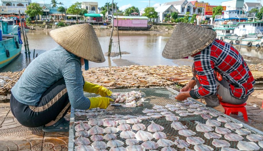 Tai lang ca kho Tran De co tren 50 loai nhu kho ca duoi den (hac cay), kho ca khoai, ca lu du, luoi trau, tep xe, muc. Ngoai ra, con co nhieu loai kho lat, tam vi va mot nang nhu ca duoi, ca dua, muc. Muc gia tu vai chuc nghin dong den vai tram nghin dong tham chi la vai trieu dong moi kg. Trong do cac loai nhu kho muc, hac cay, kho ca khoai duoc tieu thu manh nhat vao dip Tet boi nhu cau nguoi dan dung de lam qua t