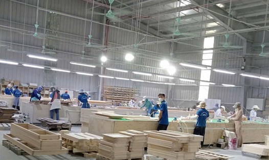 Doanh nghiệp dân doanh ở Yên Bái dự kiến tiền thưởng Tết Nguyên đán cao nhất 60 triệu đồng. Ảnh: Bảo Nguyên