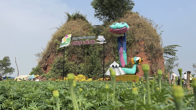 "Baby Na" at Cho Lach Flower Festival weighs about 200kg, looks funny. Photo: Hoang Loc