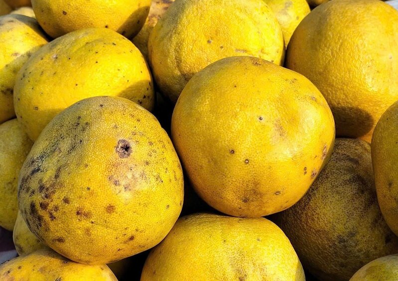 Grapefruit juice is said to be good for the liver, including reducing the risk of fatty liver. Photo: Kieu Vu