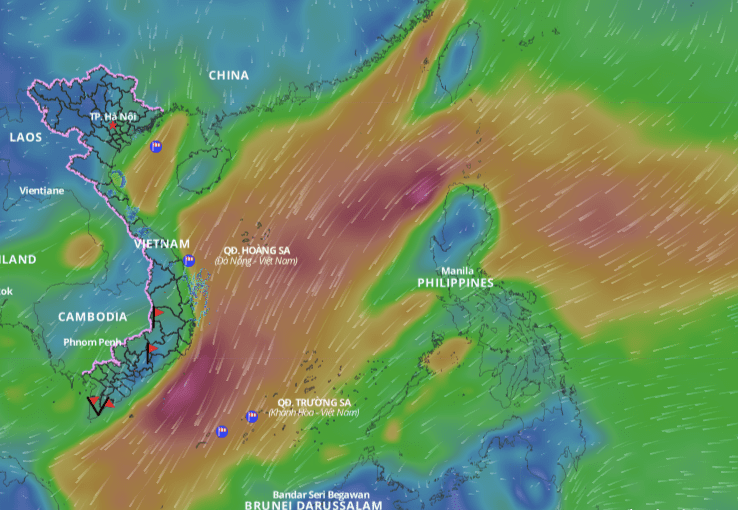 The strengthening cold air will cause bad weather in many coastal areas of the East Sea. Above is the image of the wind direction layer over the sea updated at 10:30 on January 11. Photo: Vietnam Natural Disaster Monitoring System