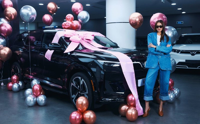 Thanh Hang bought a new car. Photo: Character provided.