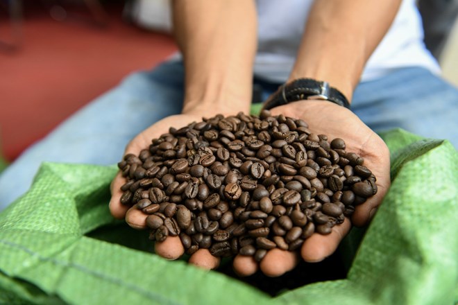 Coffee prices today, January 11: Alternating increases and decreases. Photo: AFP