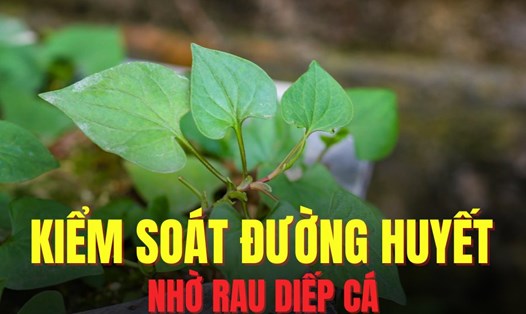 Rau diếp cá hỗ trợ kiểm soát đường huyết hiệu quả. Đồ họa: Hoài Lan