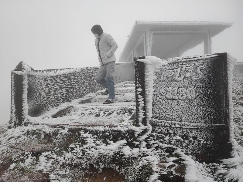 Frost appears at Mau Son peak in early 2024 when a series of cold air waves strengthen. Photo: Nguyen Chuyen