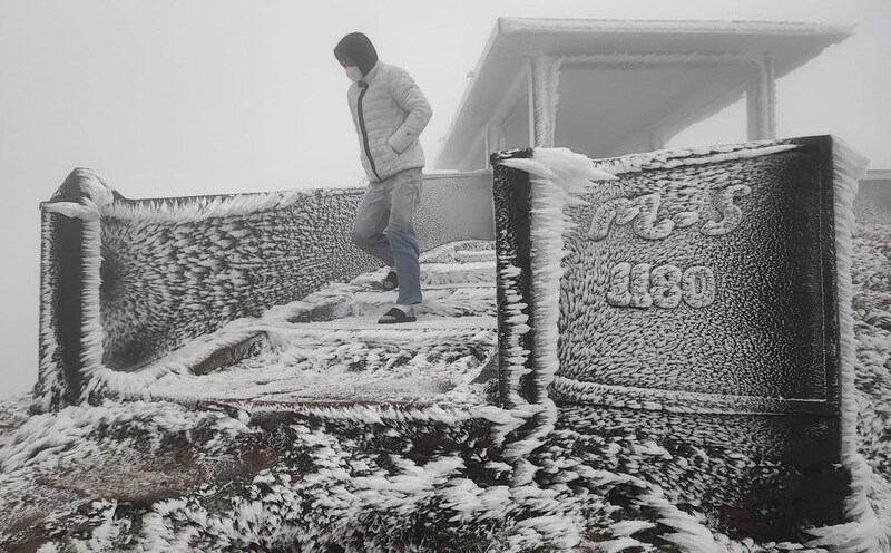 Frost appears at Mau Son peak in early 2024 when a series of cold air waves strengthen. Photo: Nguyen Chuyen