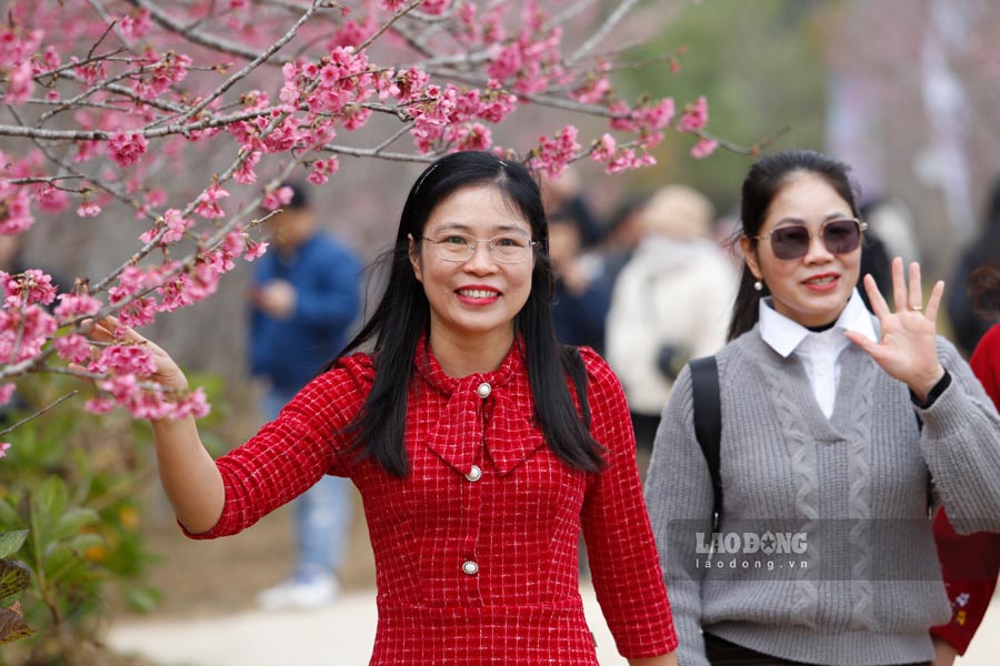 Thoi diem nay, den voi dao hoa Pa Khoang, du khach se duoc dam minh trong khong gian lang man, tran day sac hong cua hoa anh dao.