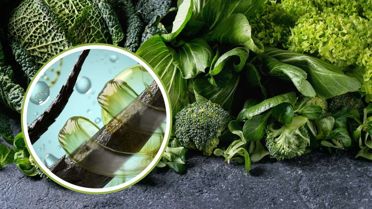Green leafy vegetables rich in copper help to overcome premature graying of hair. Graphics: Thanh Thanh