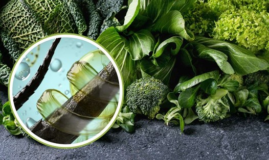 Rau lá xanh giàu đồng khắc phục tình trạng tóc bạc sớm. Đồ họa: Thanh Thanh