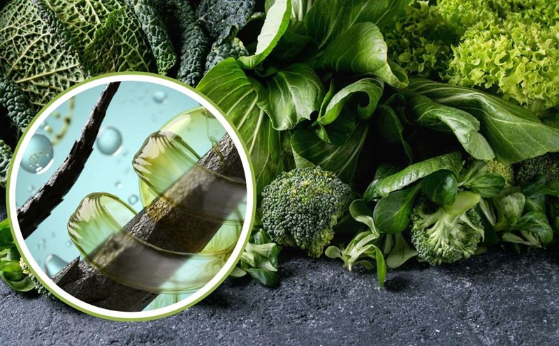 Green leafy vegetables rich in copper help to overcome premature graying of hair. Graphics: Thanh Thanh