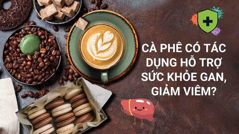 Does coffee help support liver health and reduce inflammation? Graphics: Cao Thom