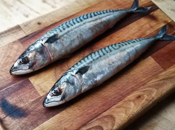 Mackerel helps control blood sugar. Graphics: Huong Giang