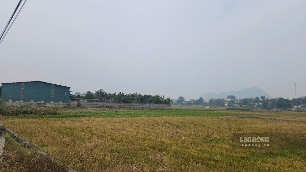 Nhiều chiêu trò lừa đảo mua bán nhà đất. Ảnh: Minh Hạnh 