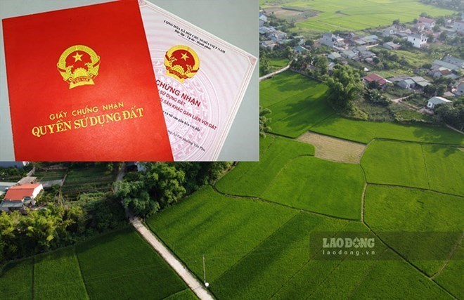 Article 19 of Circular 10/2024/TT-BTNMT stipulates the storage of registration records and issuance of Certificates (red books). Photo by Phan Anh.