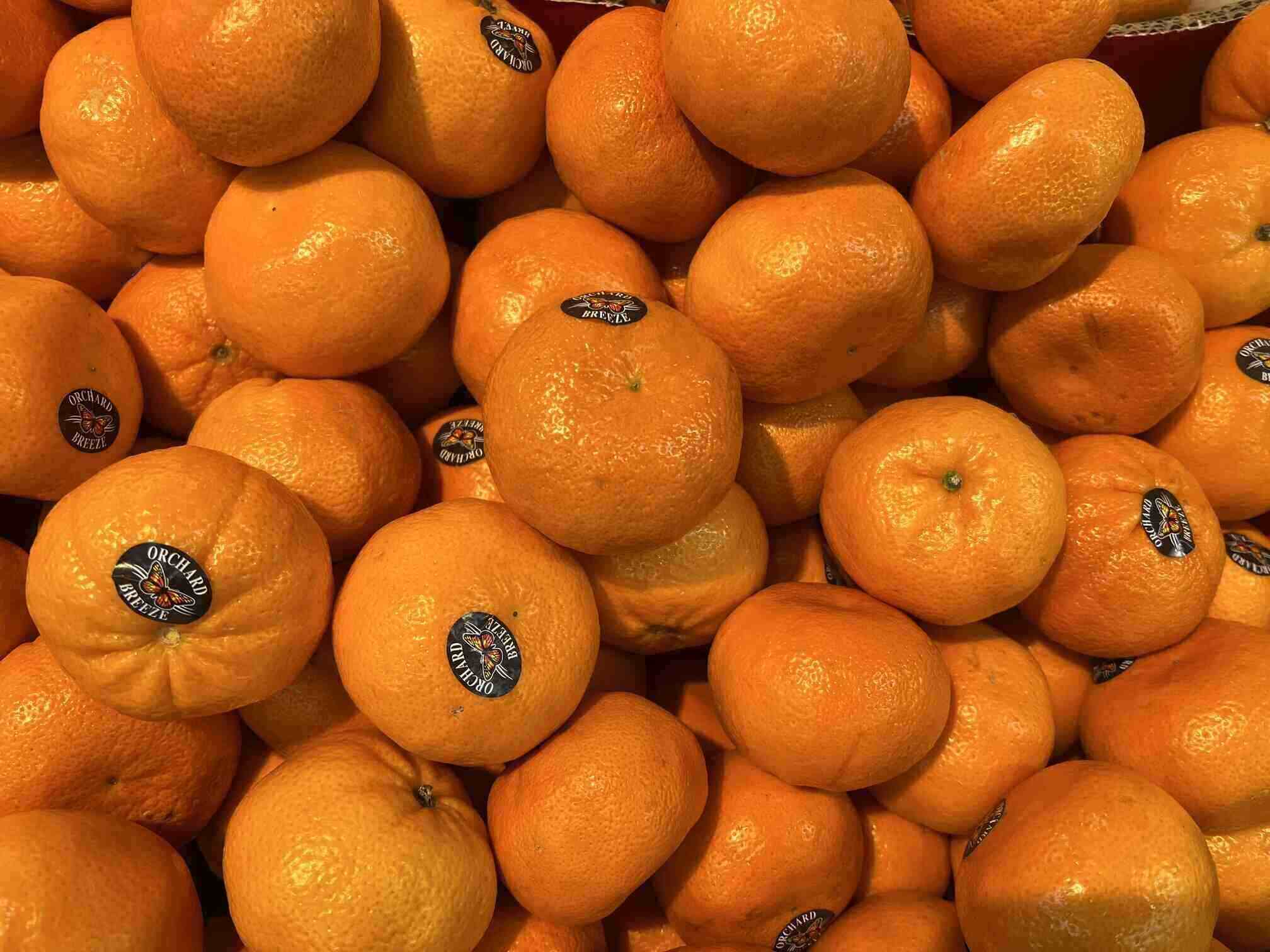 To keep blood sugar from rising, it is important to keep in mind some principles when eating fruit. Photo: Kieu Vu