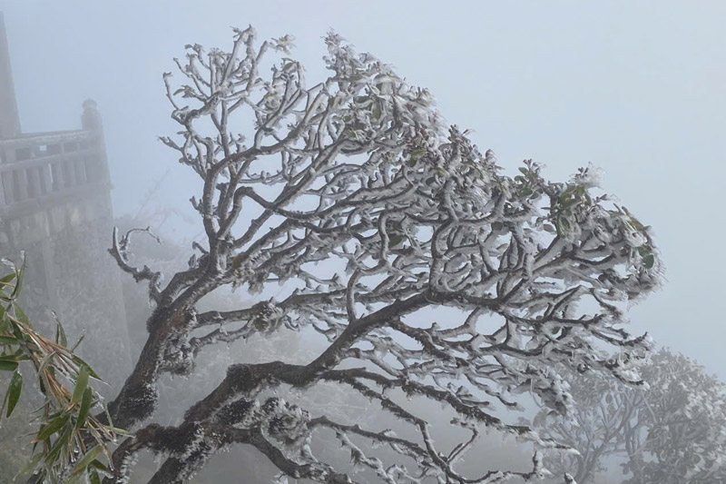 Snow covers Fansipan peak. Photo: Dinh Dai