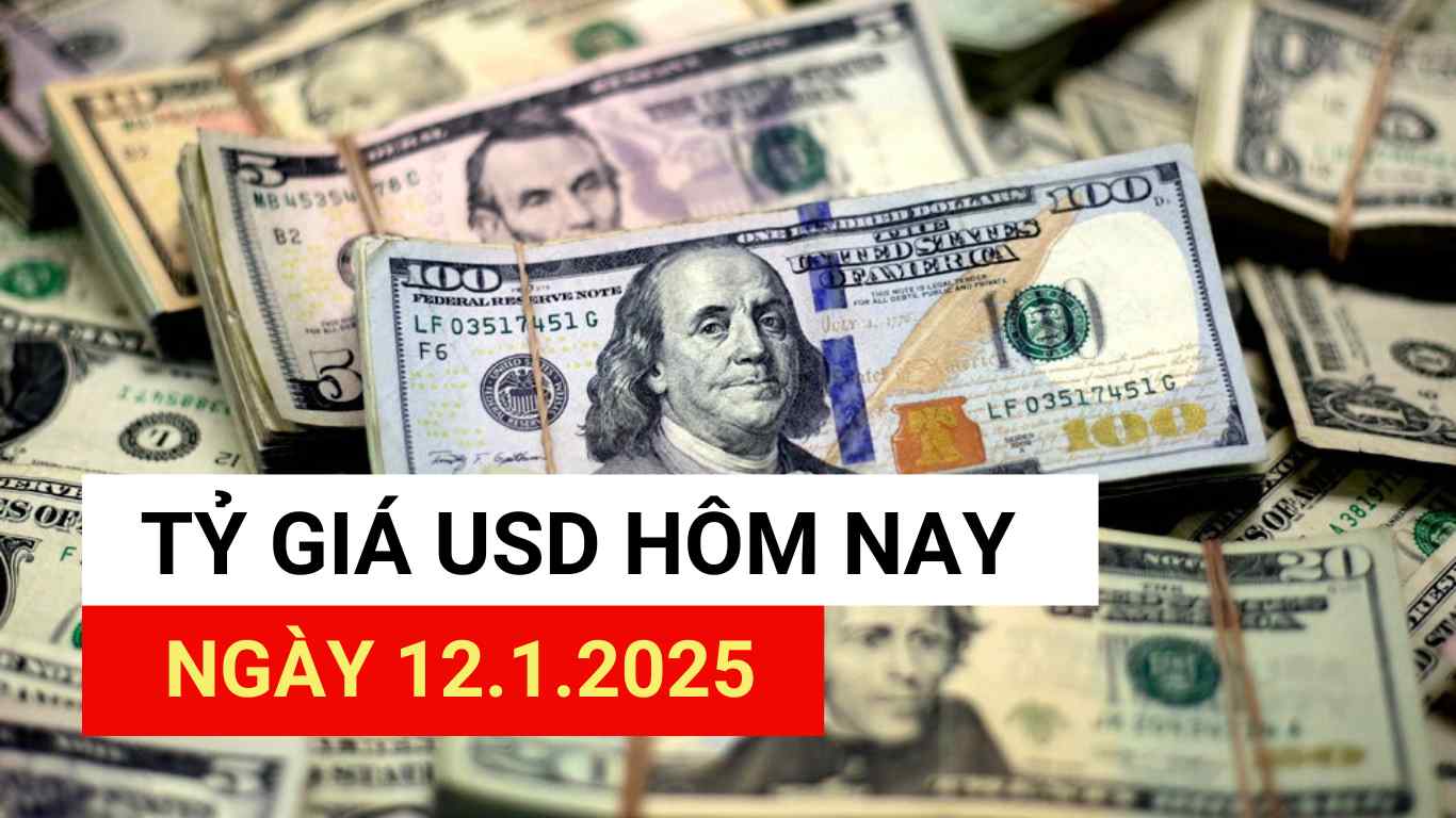 USD exchange rate today 12.1.2025.