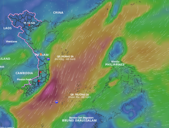 Cold air is forecast to continue causing bad weather in many areas of the East Sea. Above is the image of the wind direction layer over the sea updated at 10:30 on January 12. Photo: Vietnam Natural Disaster Monitoring System