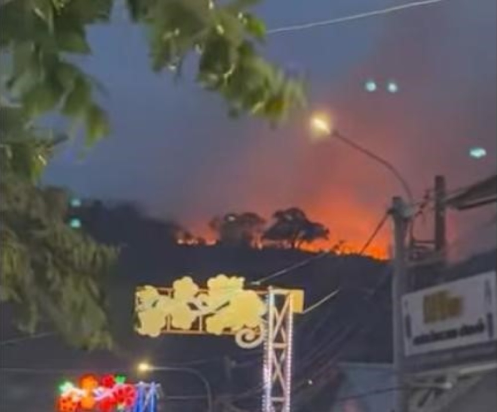 Authorities are still investigating the cause of the forest fire in Ganh Dau commune, Phu Quoc city. Photo: People