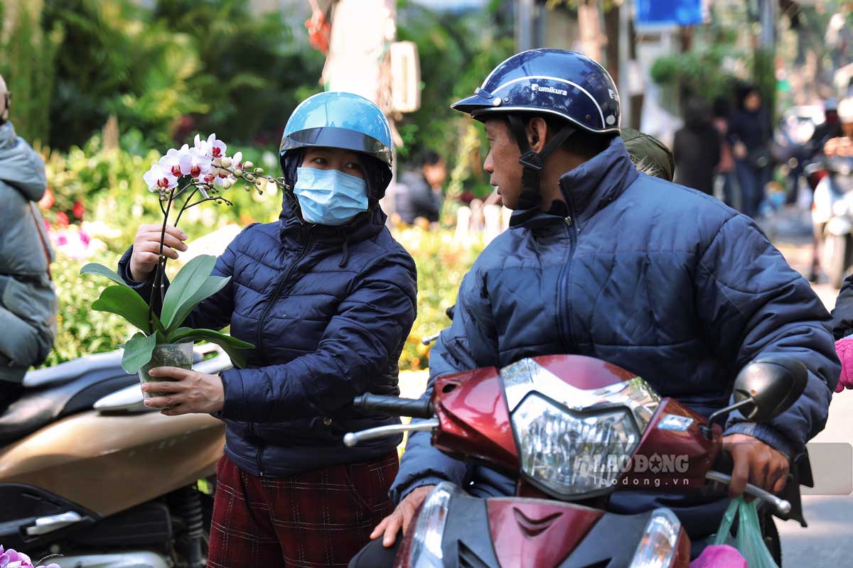 Hoa lan la mot trong nhung loai hoa duoc nhieu nguoi uu ai lua chon trong dip Tet, moi chau hoa lan co gia dao dong tu vai tram nghin den vai trieu dong, phu hop voi nhu cau va so thich cua nhieu nguoi.