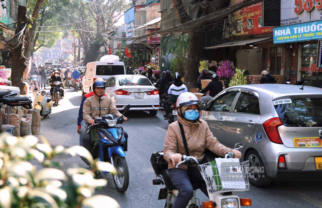 Nhung ngay nay, duong Hoang Hoa Tham (Ba Dinh, Ha Noi) tran ngap mau sac cua cac loai hoa, cay canh de phuc vu cho dip Tet.