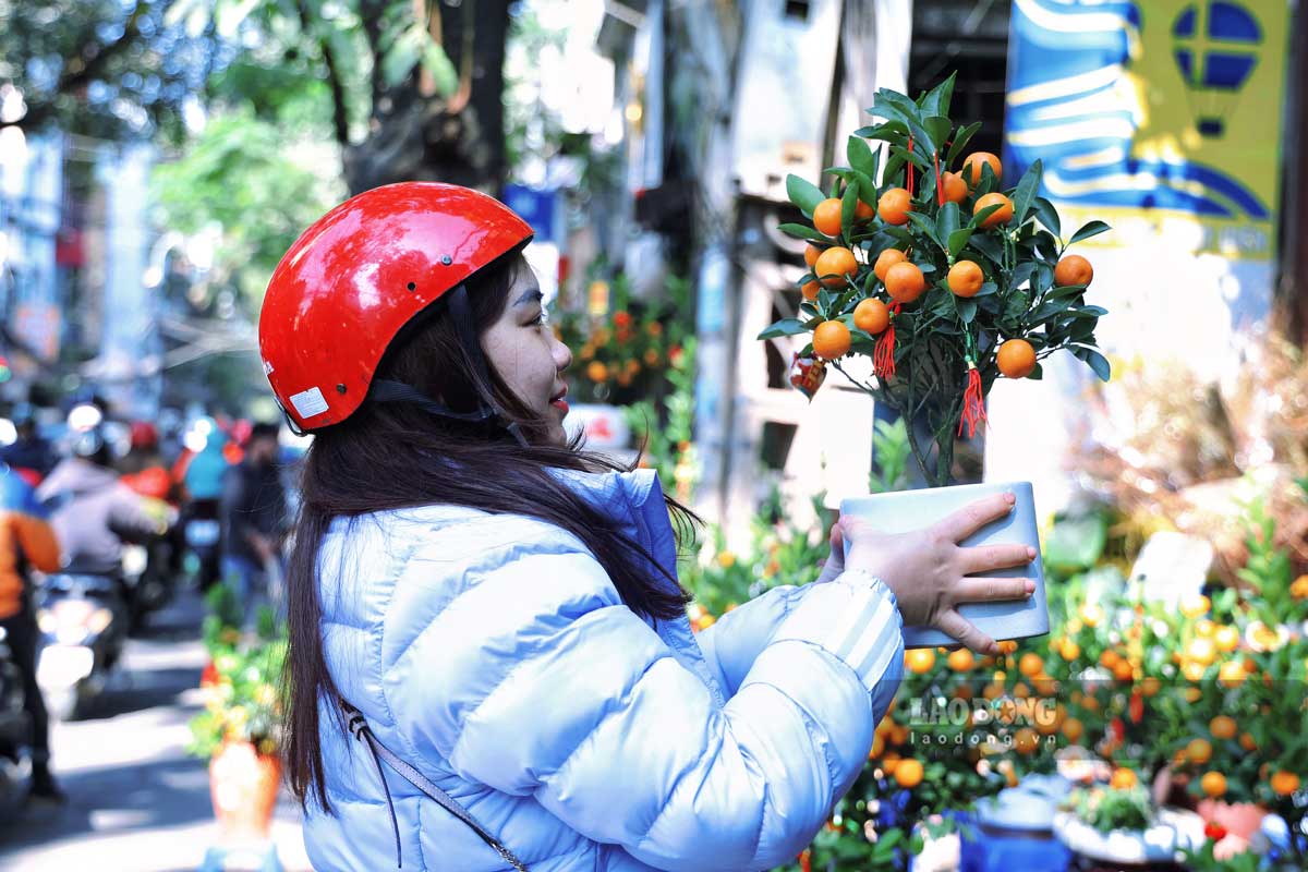 Nhung cay quat canh mini co gia thanh rat re nen duoc rat nhieu nguoi lua chon.