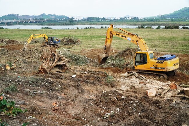 Nhà thầu đang huy động máy móc dọn dẹp cây cối, tạo mặt bằng thi công dự án. Ảnh: Viên Nguyễn.