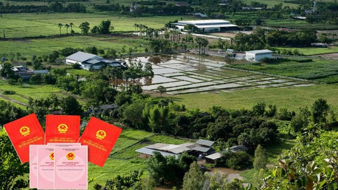 Regulations on printing, issuing and managing the use of red book blanks. Photo: Phuong Anh