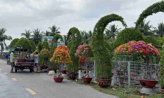 Bùng nổ sức mua hoa kiểng người dân lãi lớn nhờ Lễ hội. Ảnh: Hoàng Lộc