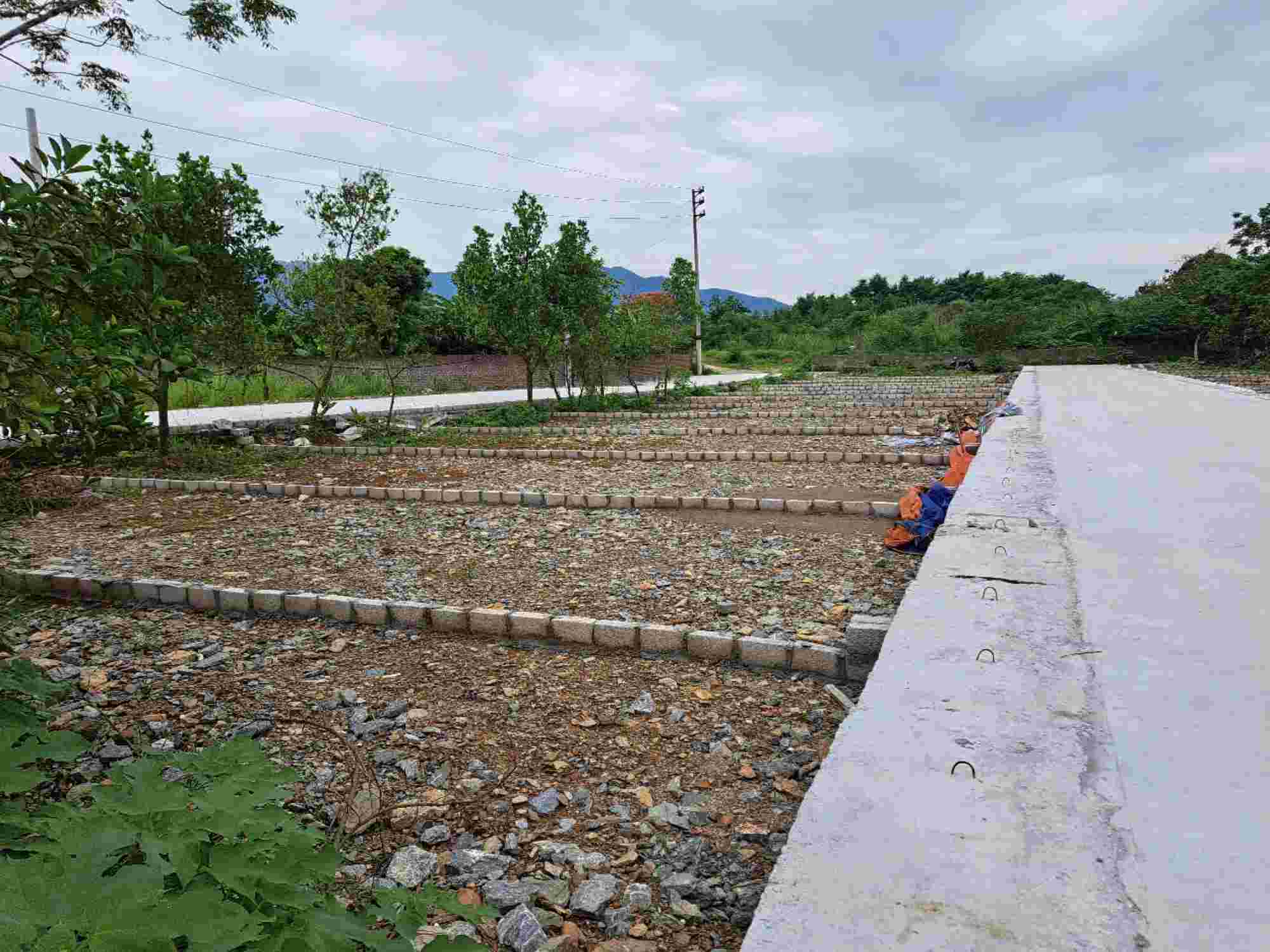 A subdivided land plot in Xuan Mai town, Chuong My district, Hanoi. Photo: Luc Giang