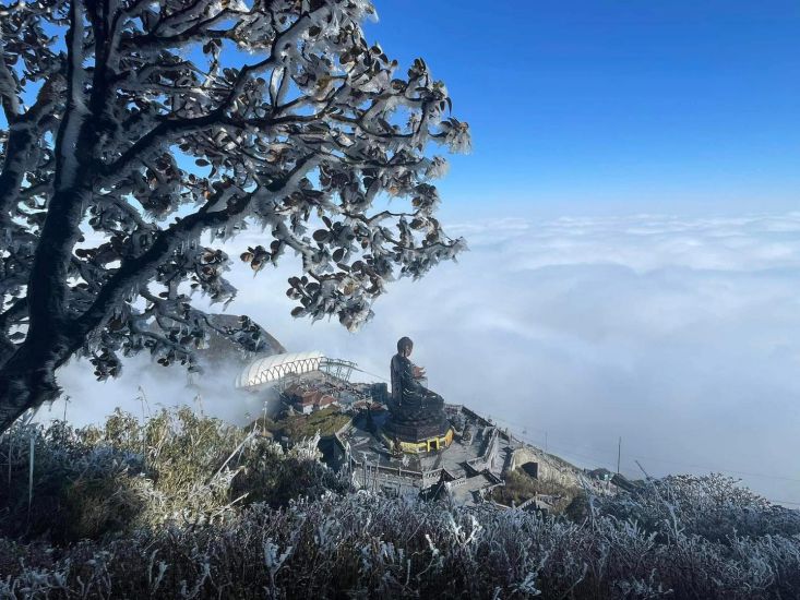Frost on Fansipan peak. Photo: Khanh Linh