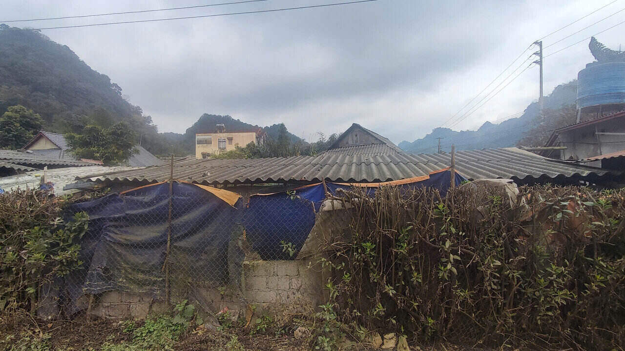 Căng bạt che kín gió là cách bà Chư dùng để bảo vệ đàn gia súc trước ảnh hưởng của rét đậm. Ảnh: Đặng Tình