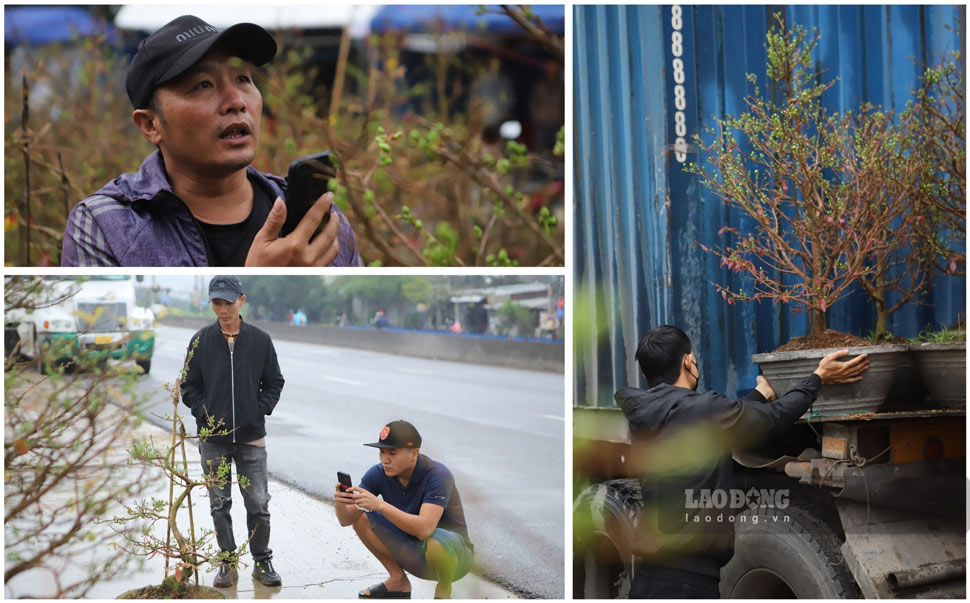 Long-distance truck drivers stop by Binh Dinh to "bring spring" back as gifts. Photo: Hoai Luan