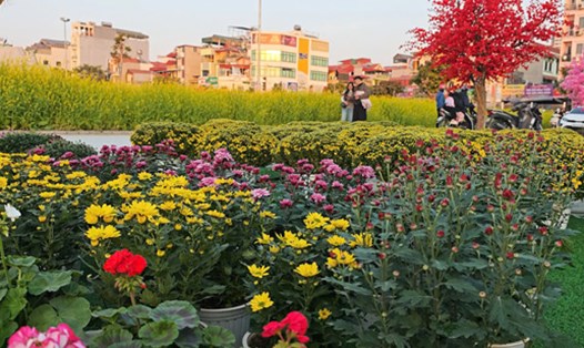 Ngành có giá trị sản lượng 45.000 tỉ đồng đang khát nhân lực