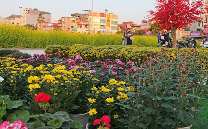 The industry with an output value of 45,000 billion VND is in need of human resources