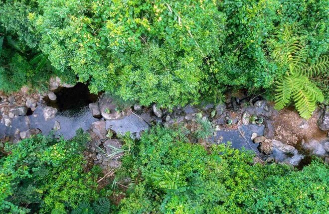 Quang Binh authorities will inspect and handle forest violations. Photo: X. Ha