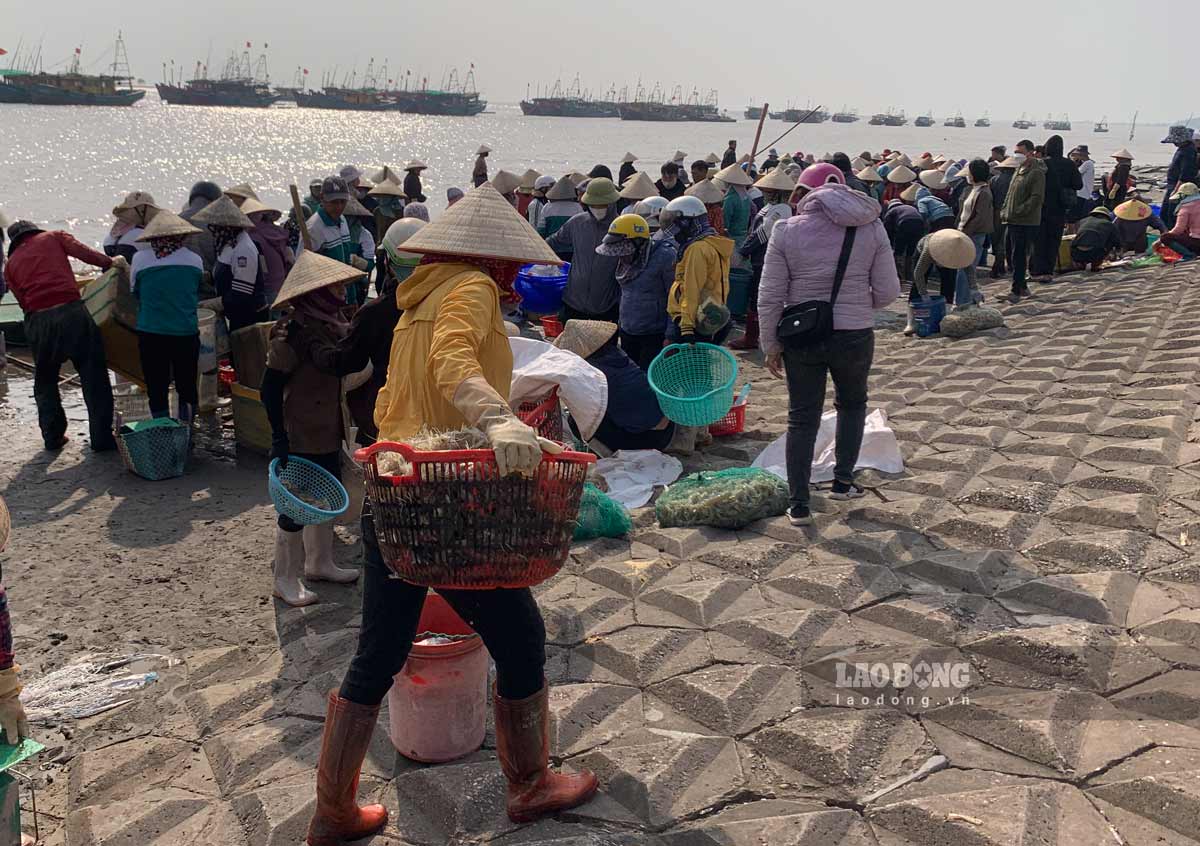 Tau thuyen cap ben ca Giao Hai (huyen Giao Thuy, tinh Nam Dinh). Anh: Ha Vi