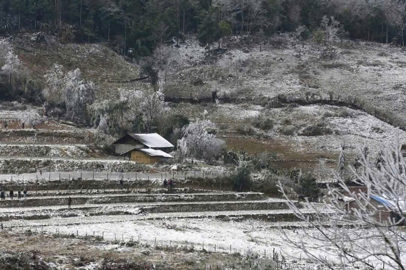 A small house in the middle of a snow-covered mountain forest in Y Ty commune. Photo: Bat Xat Television