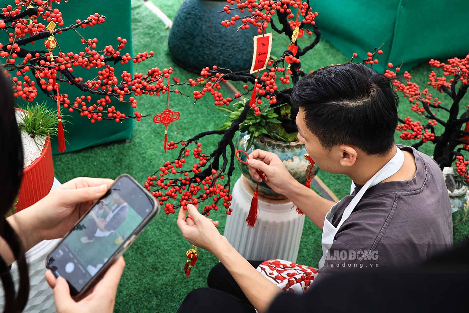 Anh Nguyen Van Hao (chu cua mot cua hang kinh doanh dao dong do tren duong Pham Hung) – chia se, truoc day, thi truong Ha Noi van co dao dong do nhung chu yeu la dang cay kho dung de trang tri. Nhung nam nay, dong cay nay duoc nhap khau tuoi ca than va qua.