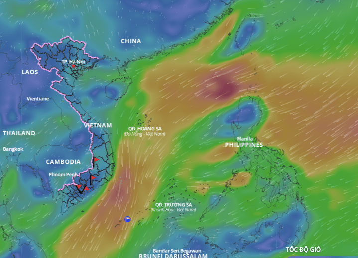 Cold air is forecast to continue causing bad weather in many areas of the East Sea. Above is the image of the wind direction layer over the sea updated at 2:30 p.m. on January 13. Photo: Vietnam Natural Disaster Monitoring System
