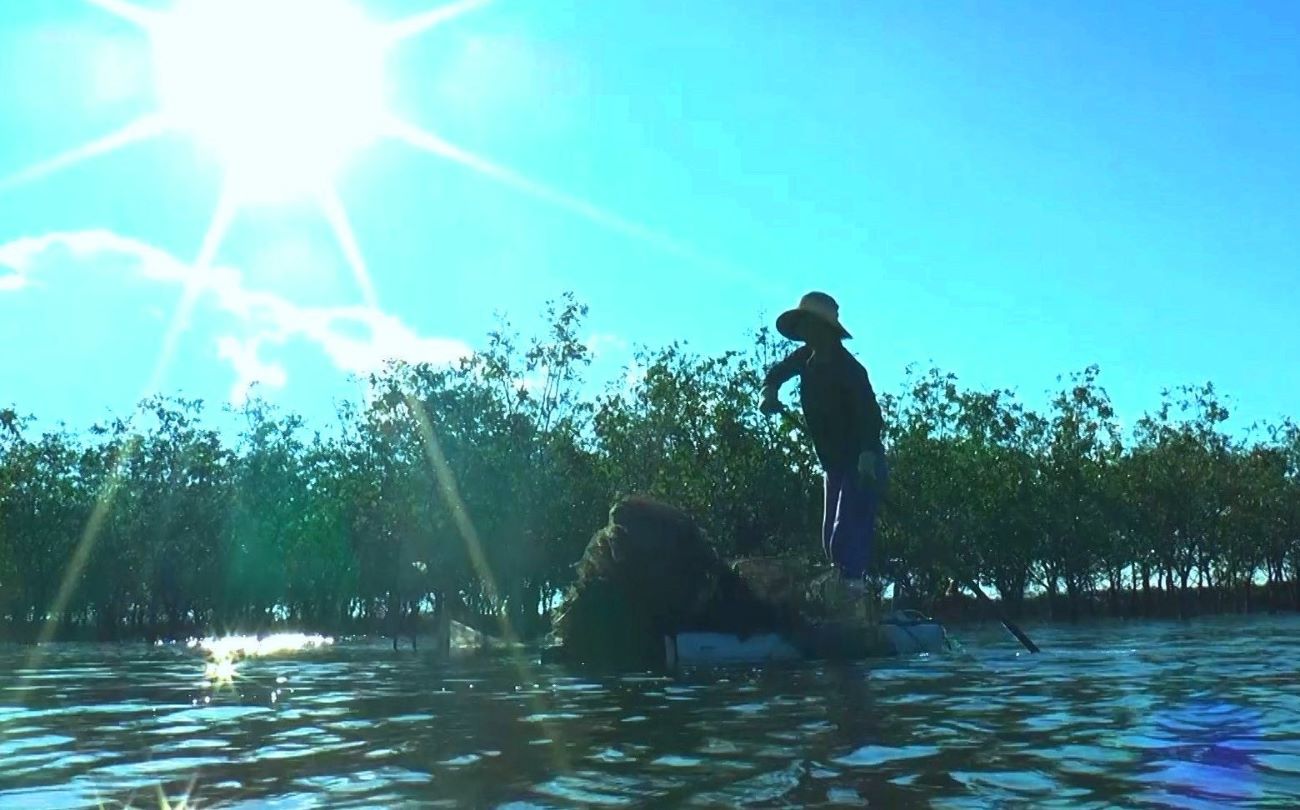 People in Bac Phuoc island go fishing, behind them is a growing mangrove forest. Photo: H.Nguyen