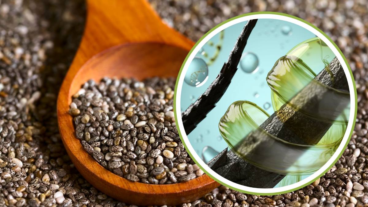 Chia seeds are good for hair. Graphics: Thanh Thanh