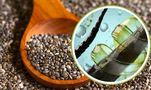Hạt chia tốt cho tóc. Đồ họa: Thanh Thanh