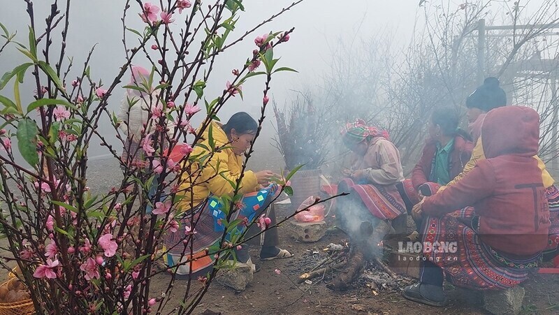 Peach branches containing the "spring" of the Northwest are about to be transported downstream. Photo: Van Thanh Chuong