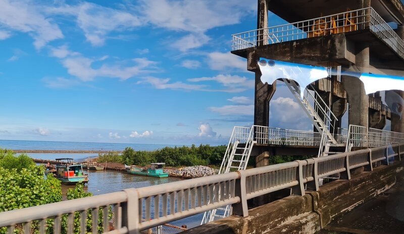 Tinh Ca Mau cho dong cac cong lon tren dia ban huyen Tran Van Thoi de ngan xam nhap man mua kho nam 2025. Anh: Nhat Ho