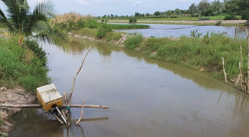 Tinh Bac Lieu canh bao nguoi dan huyen Hong Dan se thieu nuoc nuoi tom vao mua kho nam 2025. Anh: Nhat Ho