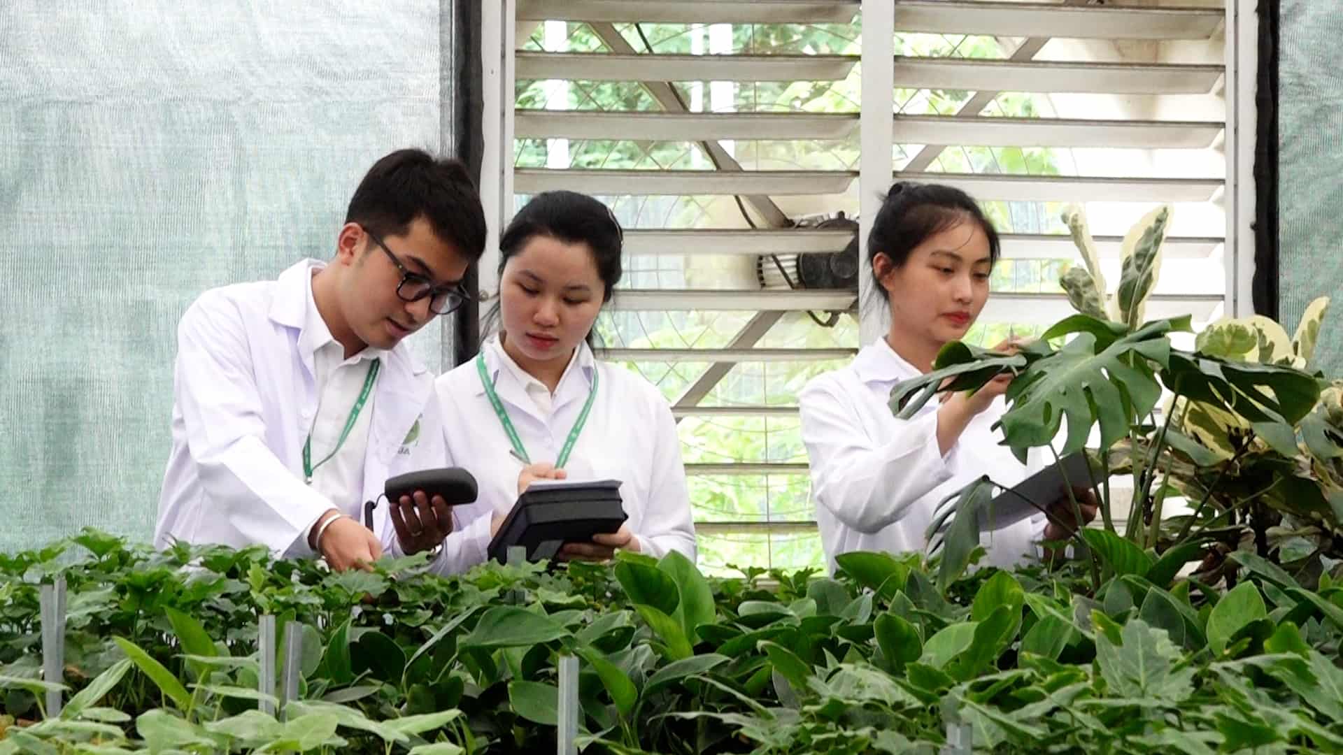 Revealing the industry that is thirsty for human resources and has high salaries