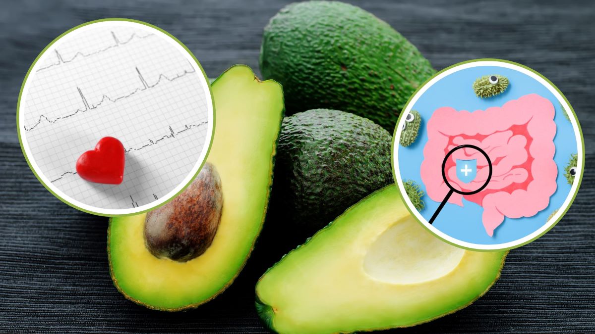 Avocado is good for the heart and intestines. Graphics: Thanh Thanh