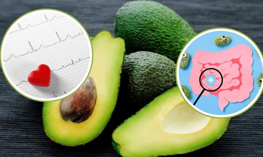 Quả bơ là thực phẩm tốt cho tim và đường ruột. Đồ họa: Thanh Thanh